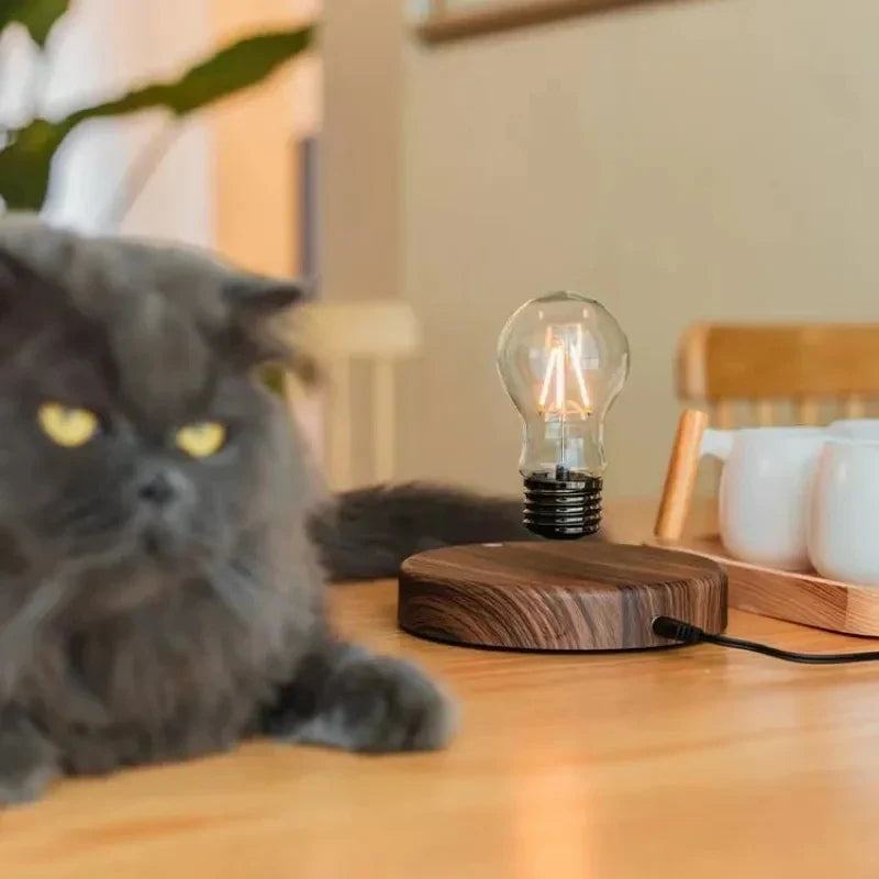 Elevate Lightbulb Lamp