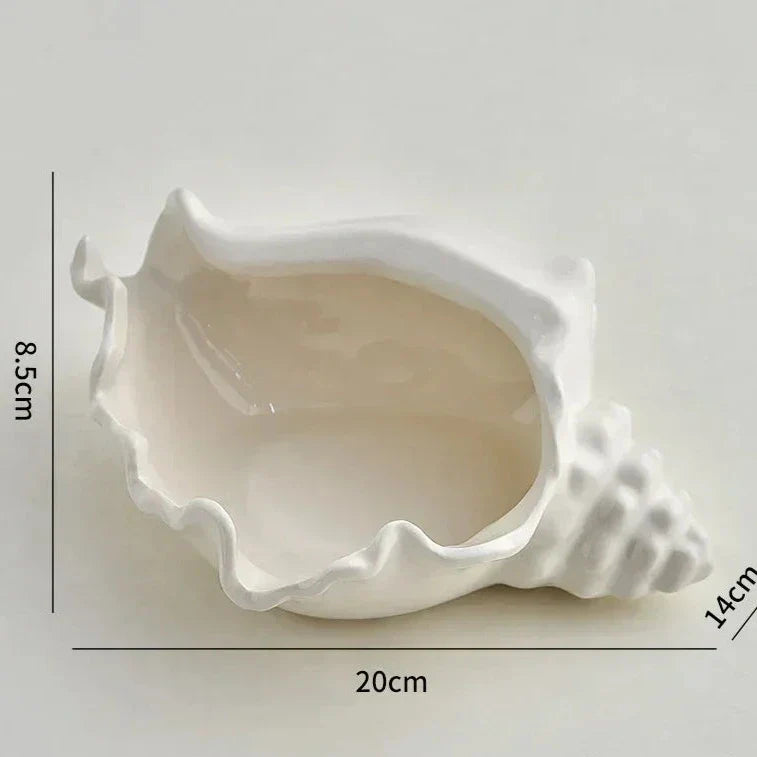 Conch Shell Storage