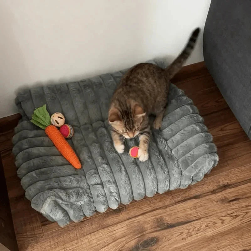 Dream Lounge Pet Bed