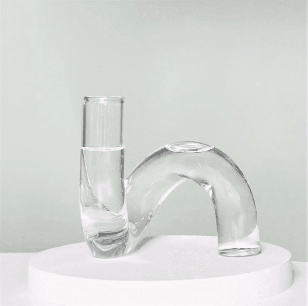 Artful Loop Hydroponic Vessel Clear