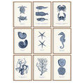 Sea Life Canvas Paintings (9 Pack)