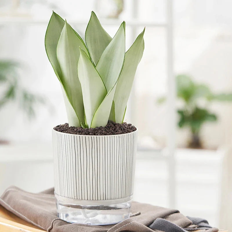 Evergreen Flow Self-Watering Planter