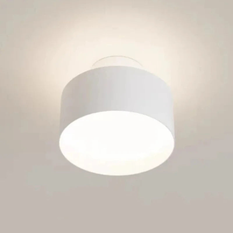 Modular Cylinder Ceiling Light