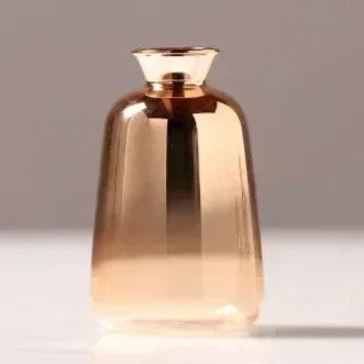 Gradient Vases M