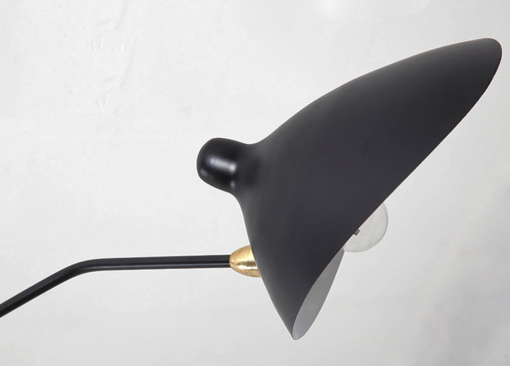 Serge Rotating Arm Ceiling Light
