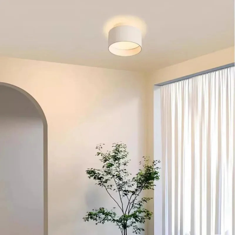 Modular Cylinder Ceiling Light