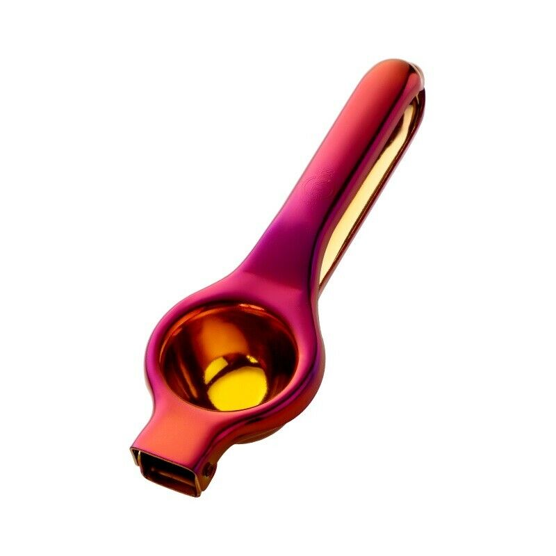Stainless Steel Retro Fun Juicer Berry