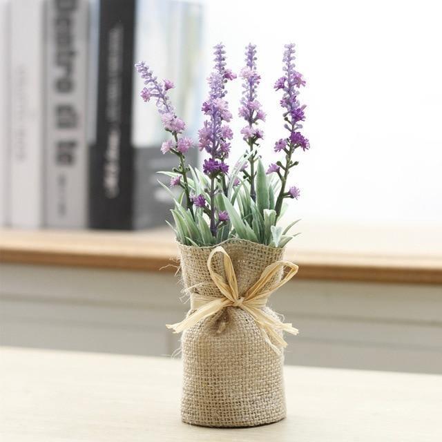 Surrey Compact Magnetic Plants Lavender + Blooms