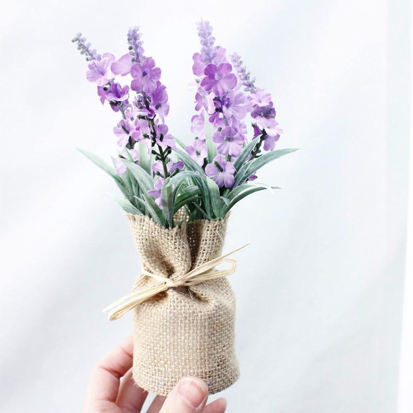 Surrey Compact Magnetic Plants