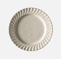 Texture Speckled Plate