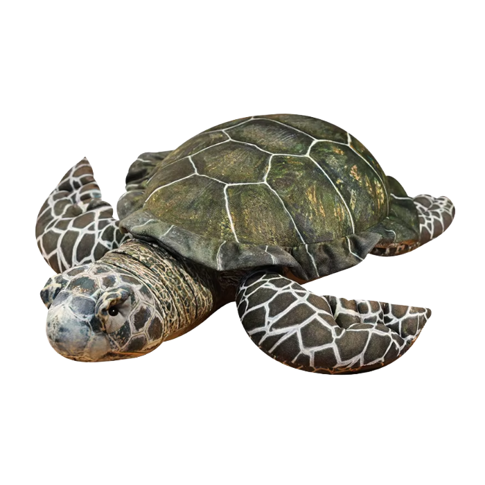 Realistic Sea Turtle Plush