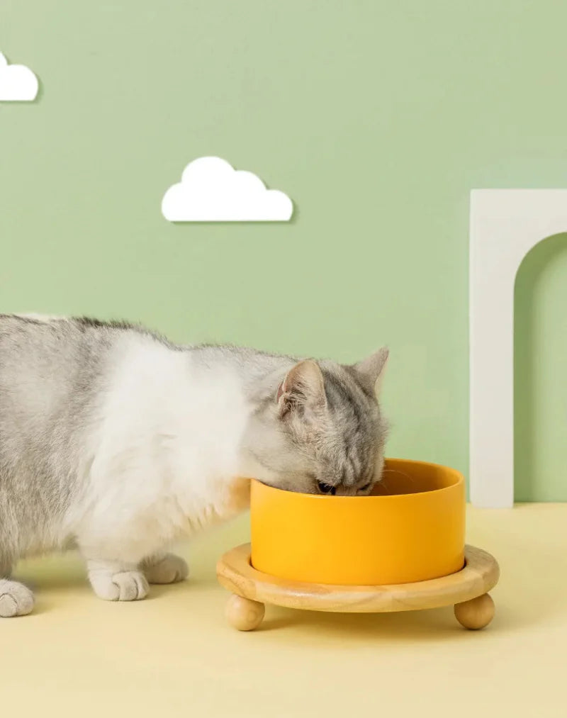 Whisker Wood Pet Feeding Bowl