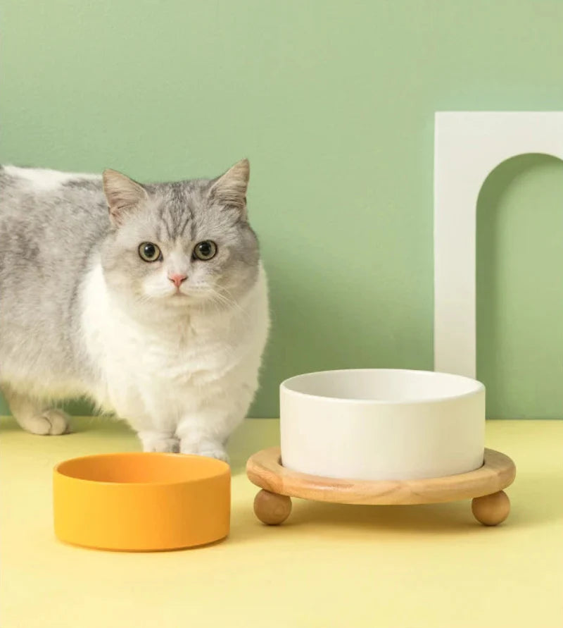 Whisker Wood Pet Feeding Bowl