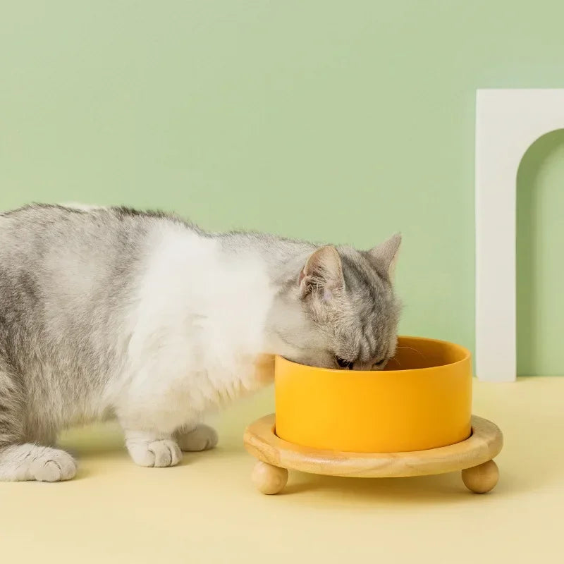Whisker Wood Pet Feeding Bowl
