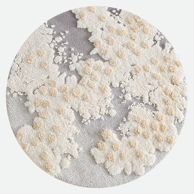 Zeta Abstract Scenic Pattern Wool Rug Organic Ivory Small