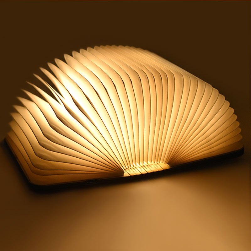 Rechargeable LED Book Lamp