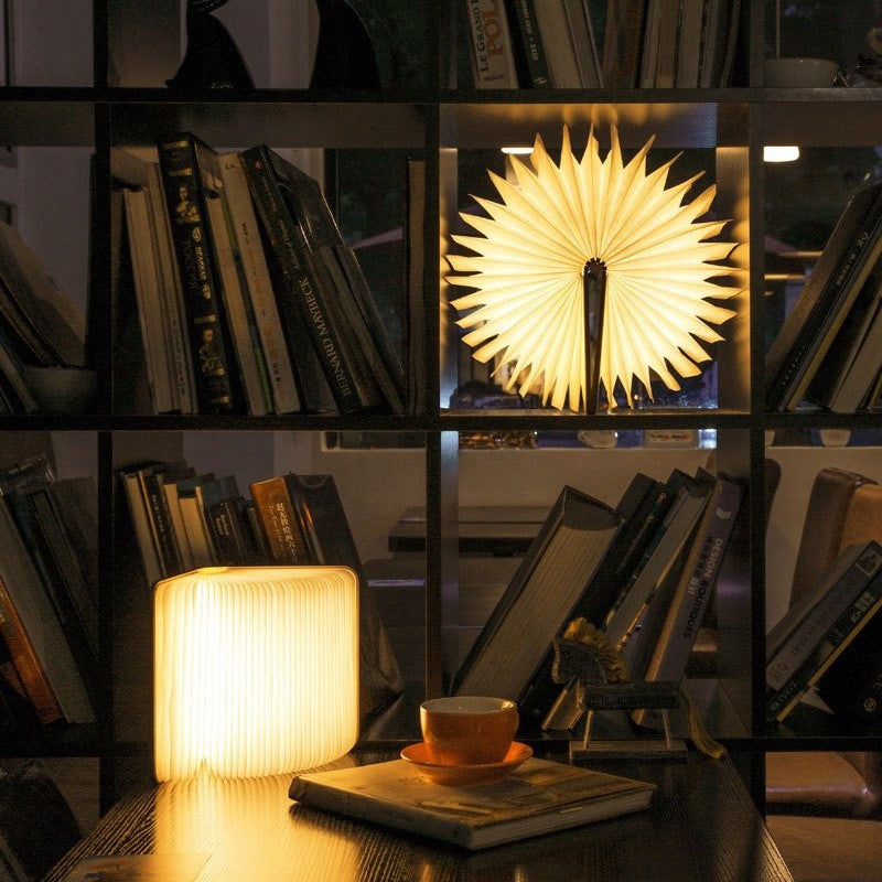 Rechargeable LED Book Lamp