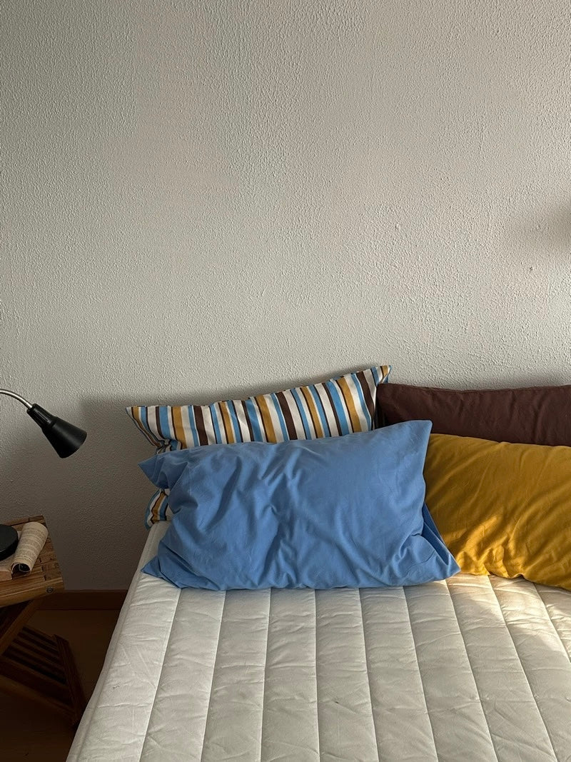 Multicolor Striped Pillow Case