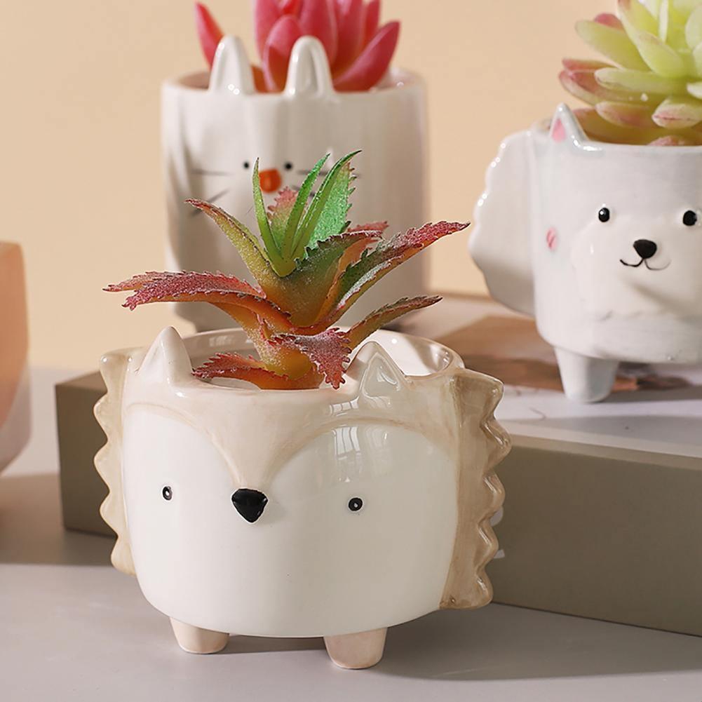 Square Animal Ceramic Succulent Planters Hedgehog