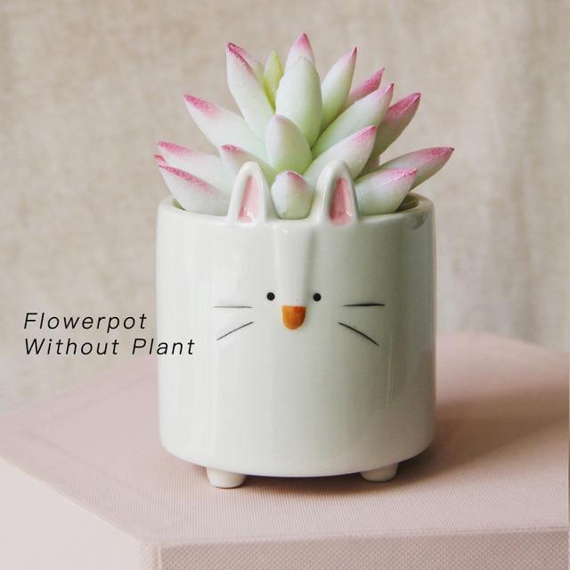 Square Animal Ceramic Succulent Planters Rabbit
