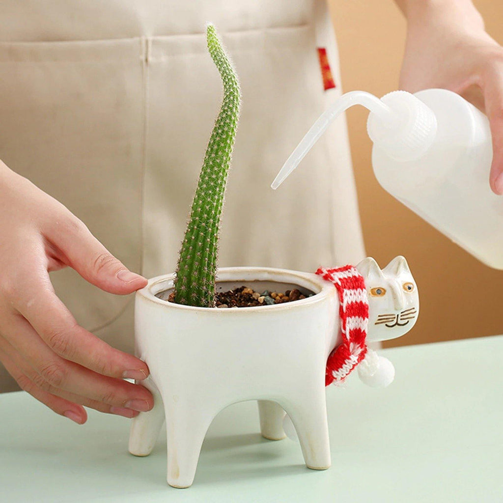 Purrfect Planter