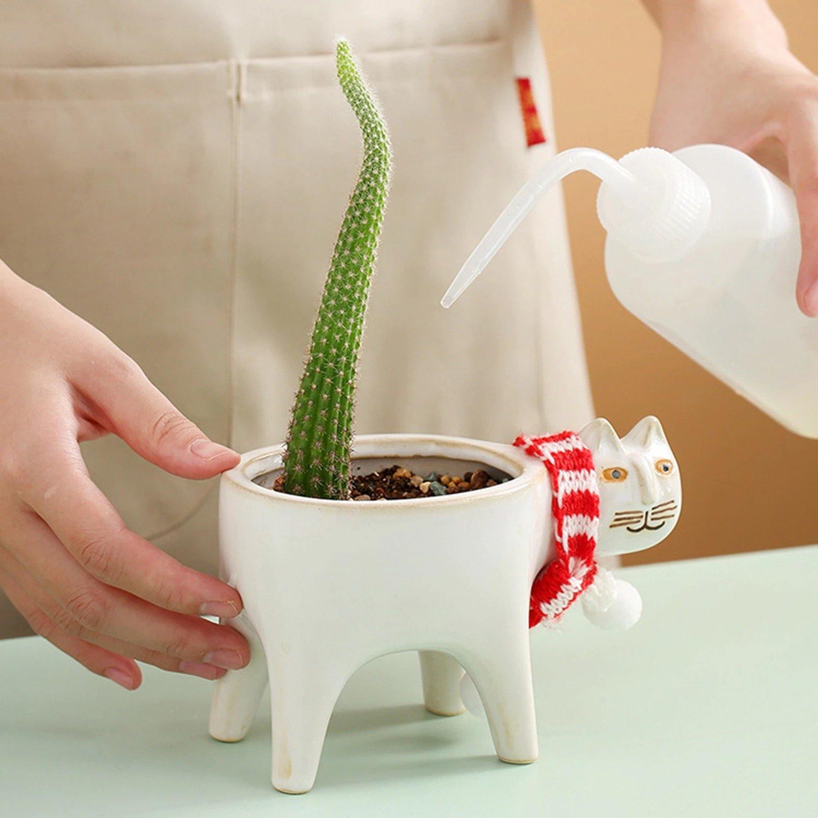 Purrfect Planter