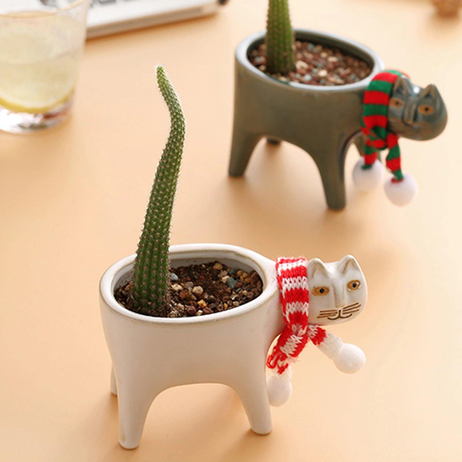 Purrfect Planter