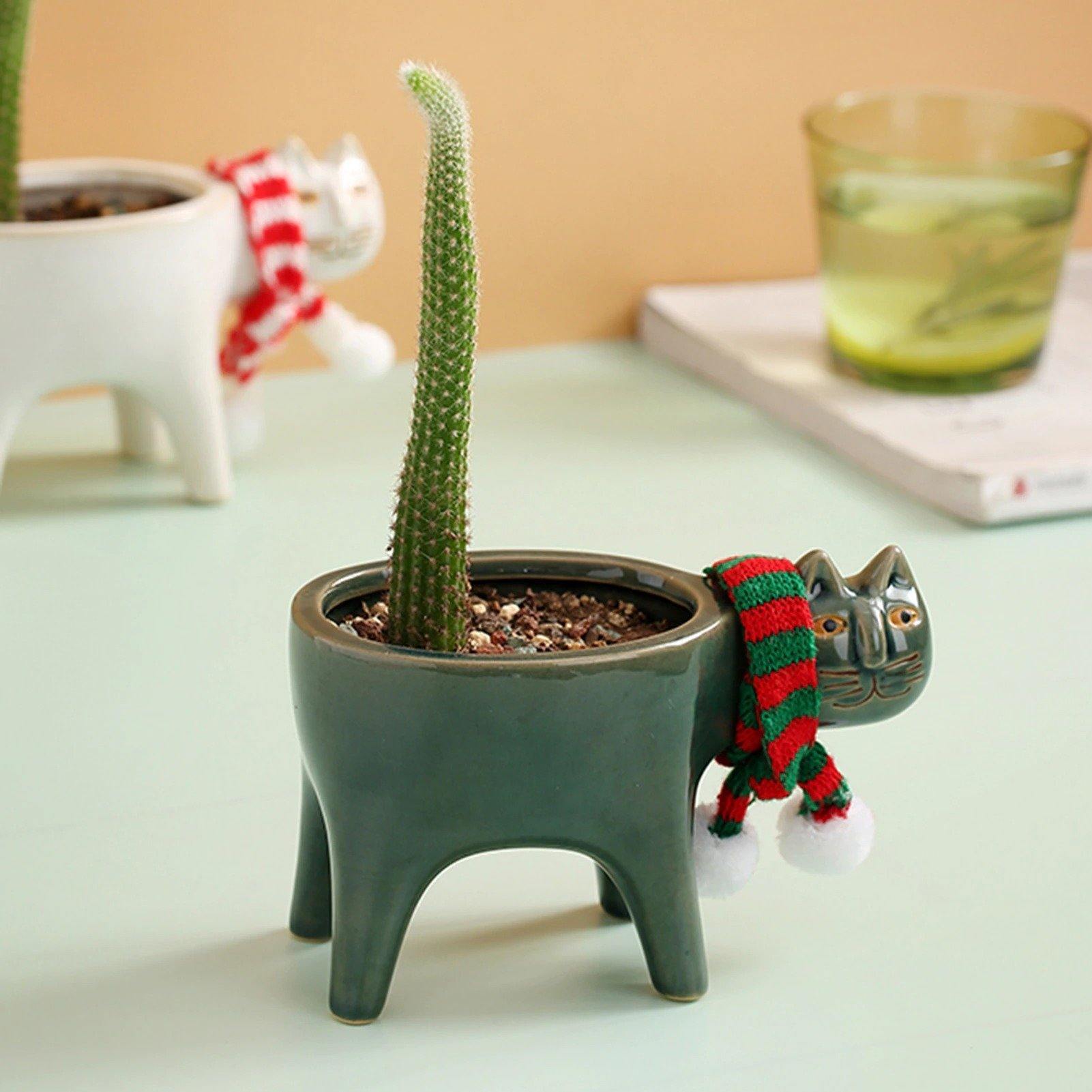 Purrfect Planter