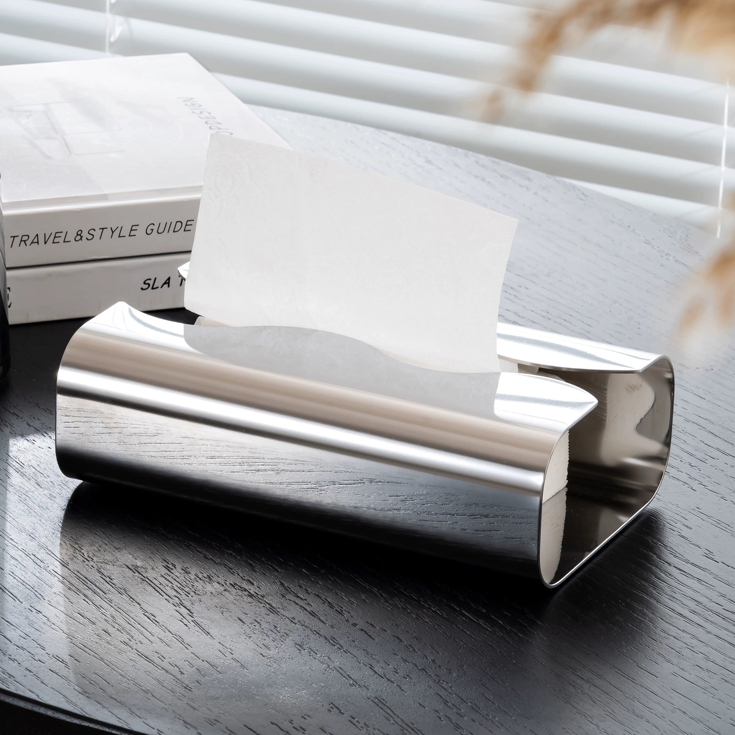 Minimalist Chrome Tissue Box