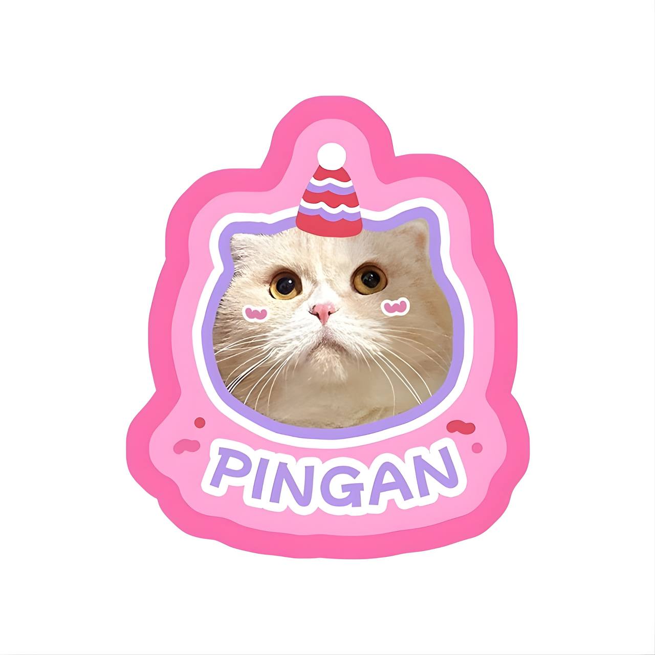 Custom Pet Rug From Photo Pink