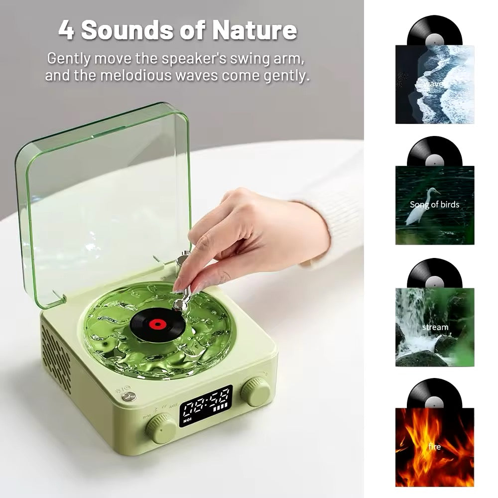 Wave Vinyl Record Player