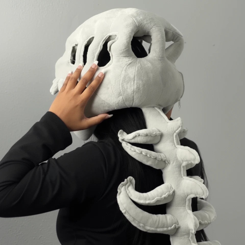 DinoSpine™