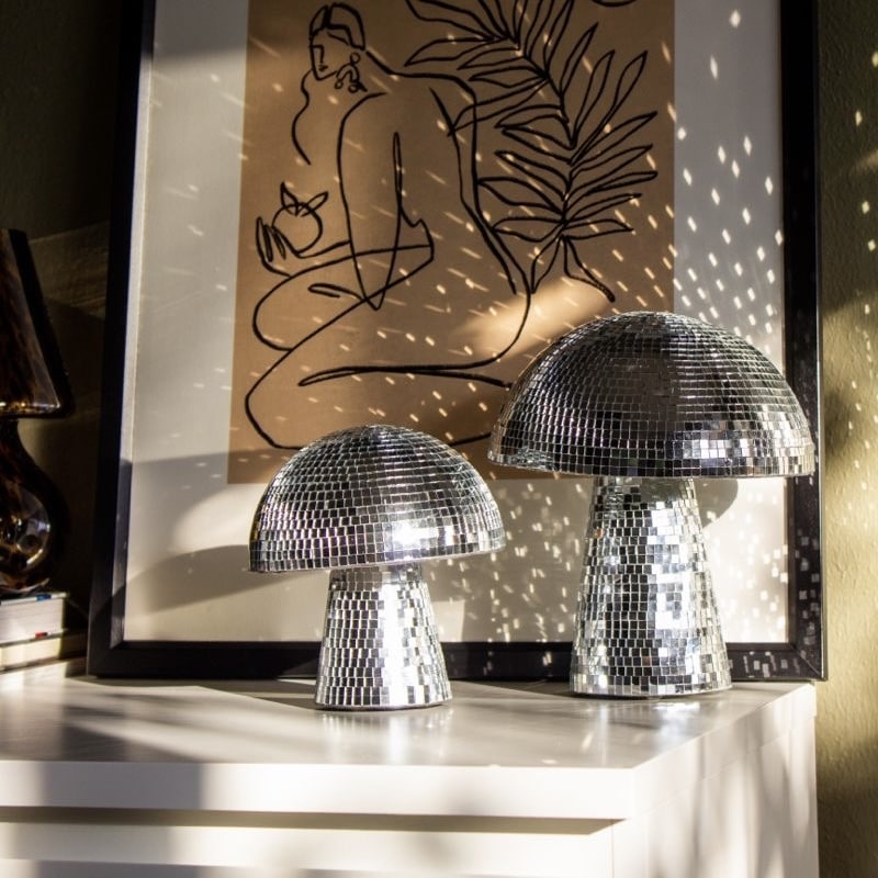 Disco Mushrooms