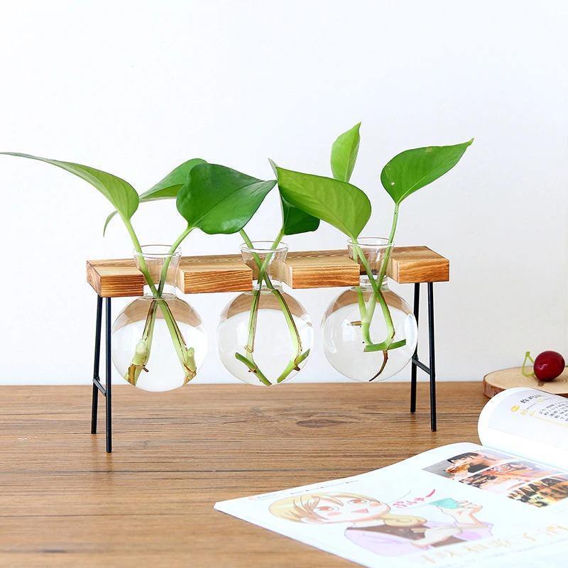 Flourish Propagation Vessel with Metal and Wooden Stand