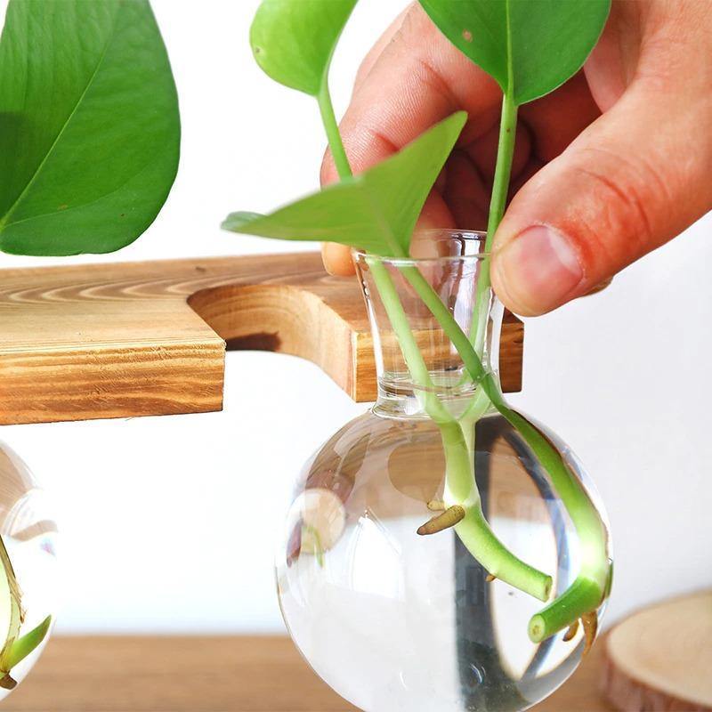 Flourish Propagation Vessel with Metal and Wooden Stand