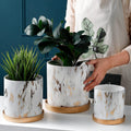 Labyrinth Planters Collection