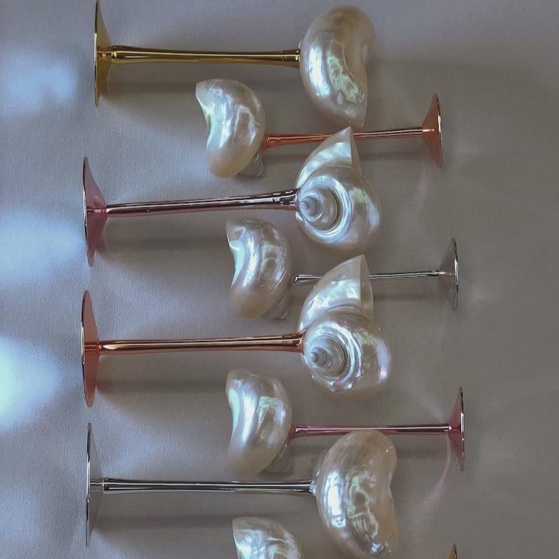 Shell Wine Glass