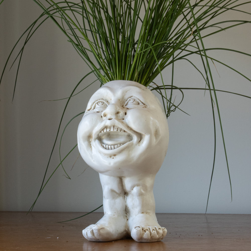 Muggly™  Planters
