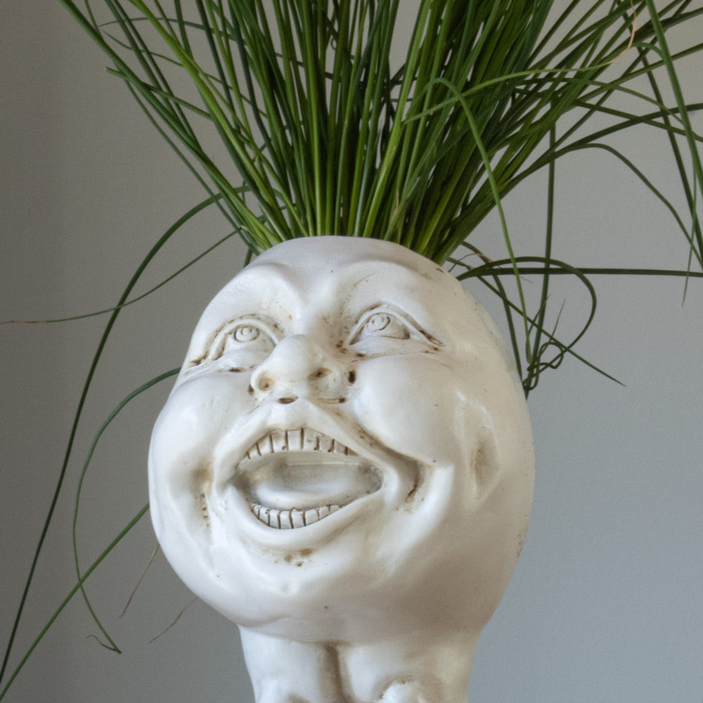 Muggly™  Planters