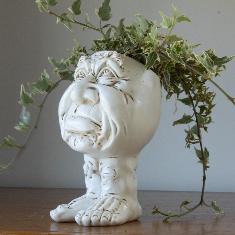Muggly™  Planters