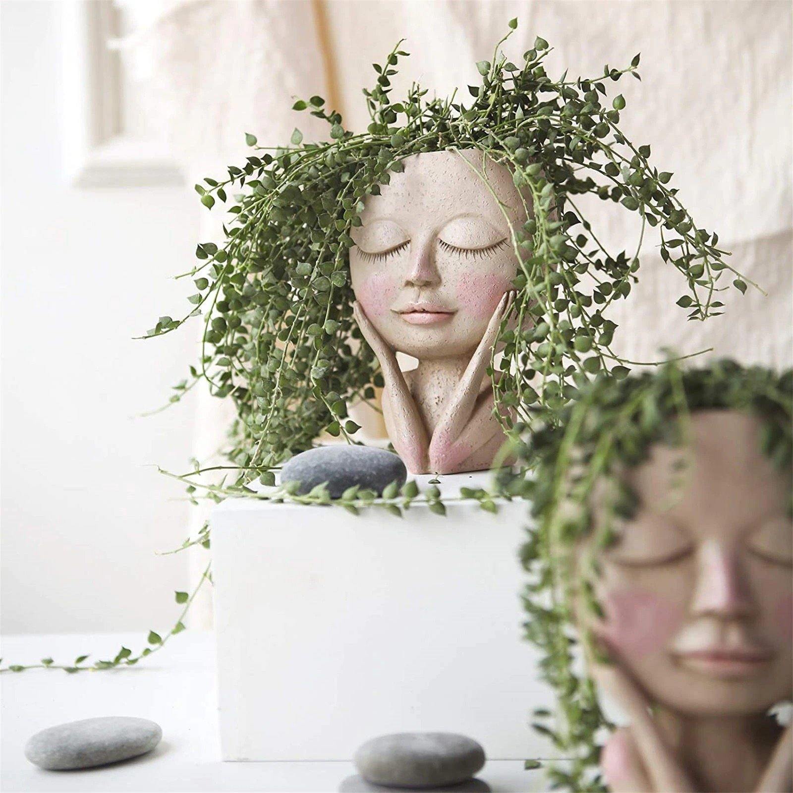 Rosy Cheeky Face Planter