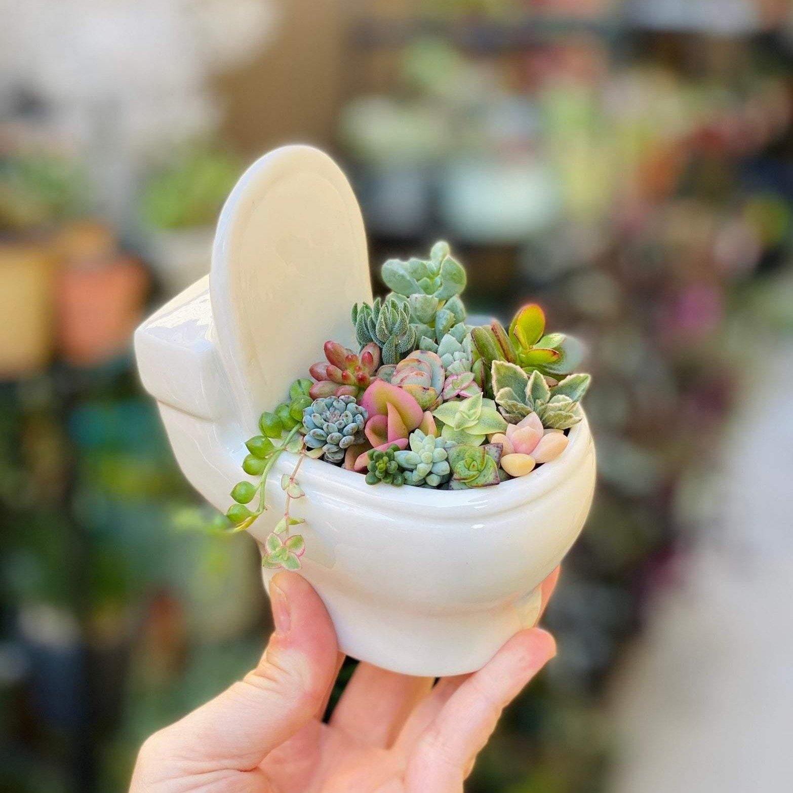 Artisan Crafted Clay Bathroom Plant Holder