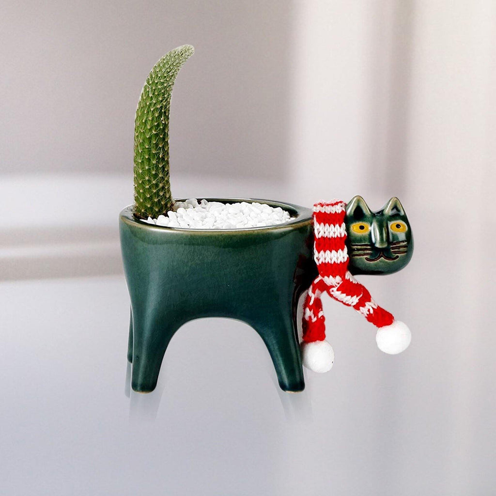 Purrfect Planter