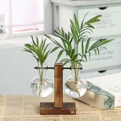 Vertical Bloom Glass Propagator 2 Parallel Vases