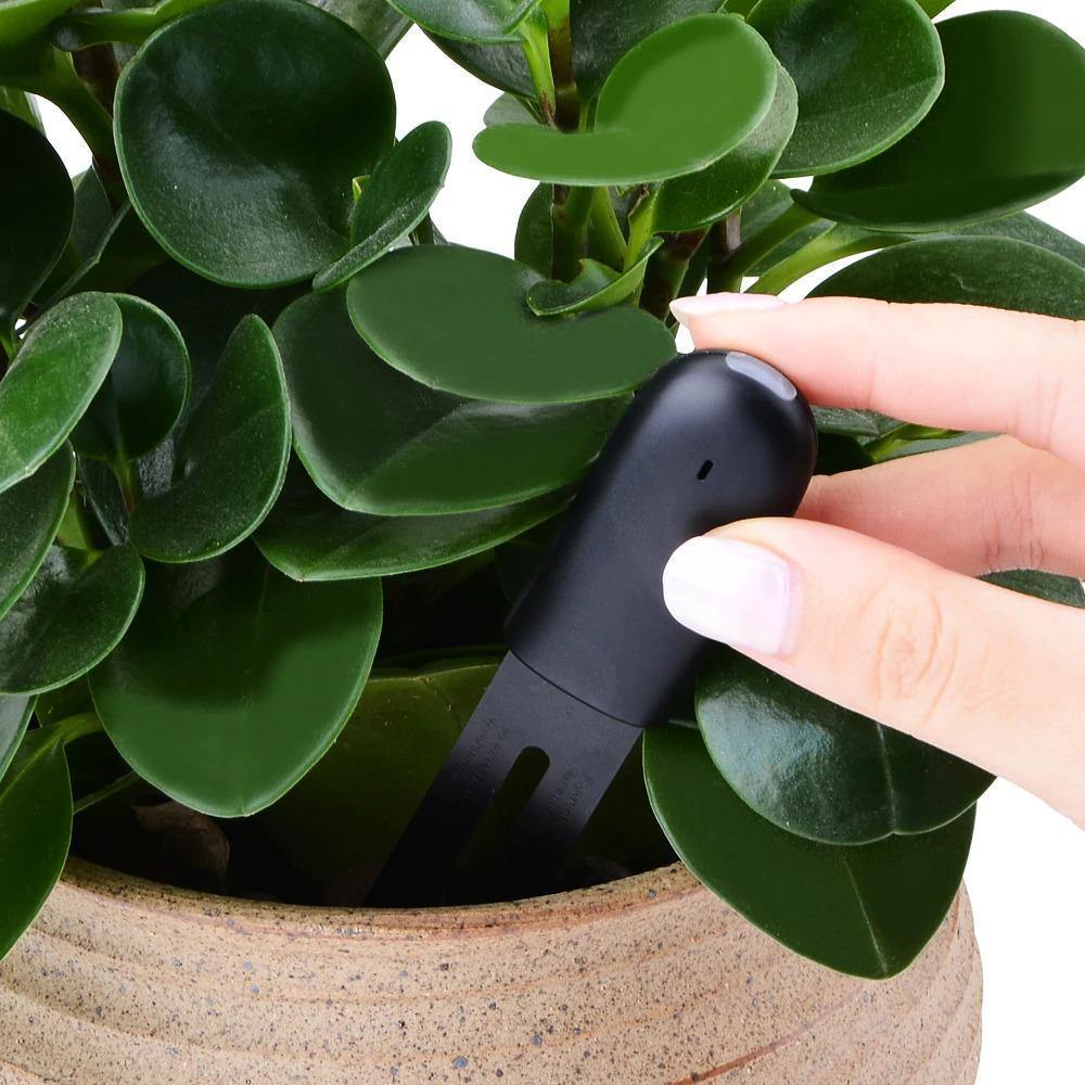 Intelligent Plant Water Meter and Wellness Sensor Indicator Light