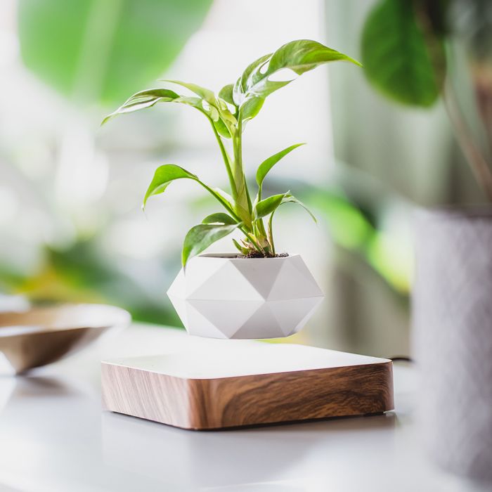 Levitating Flower Pot