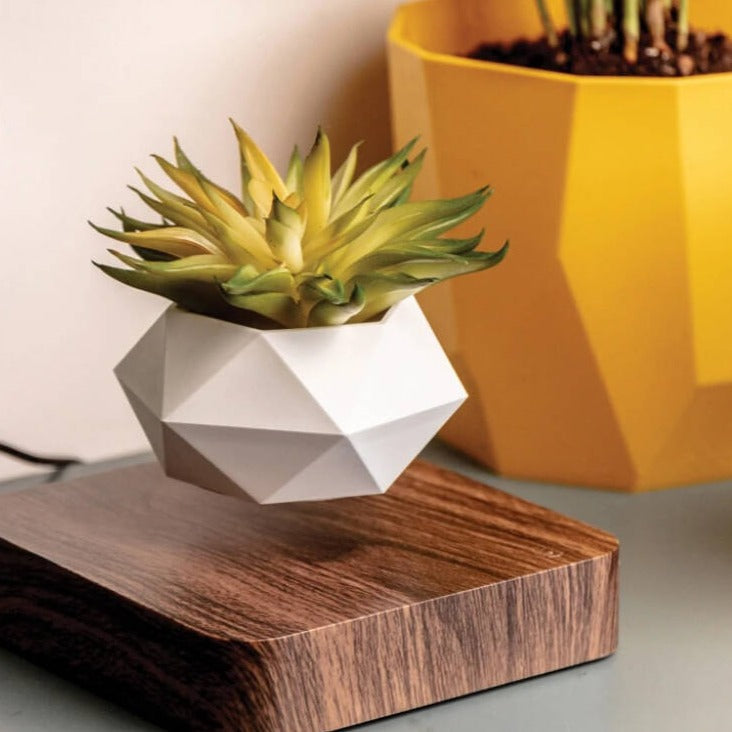 Levitating Flower Pot