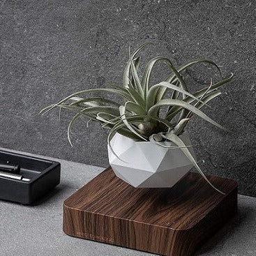 Levitating Flower Pot