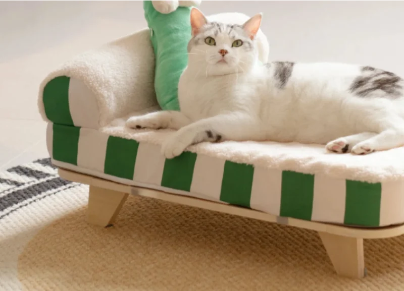 Snug Nest Elevated Pet Bed