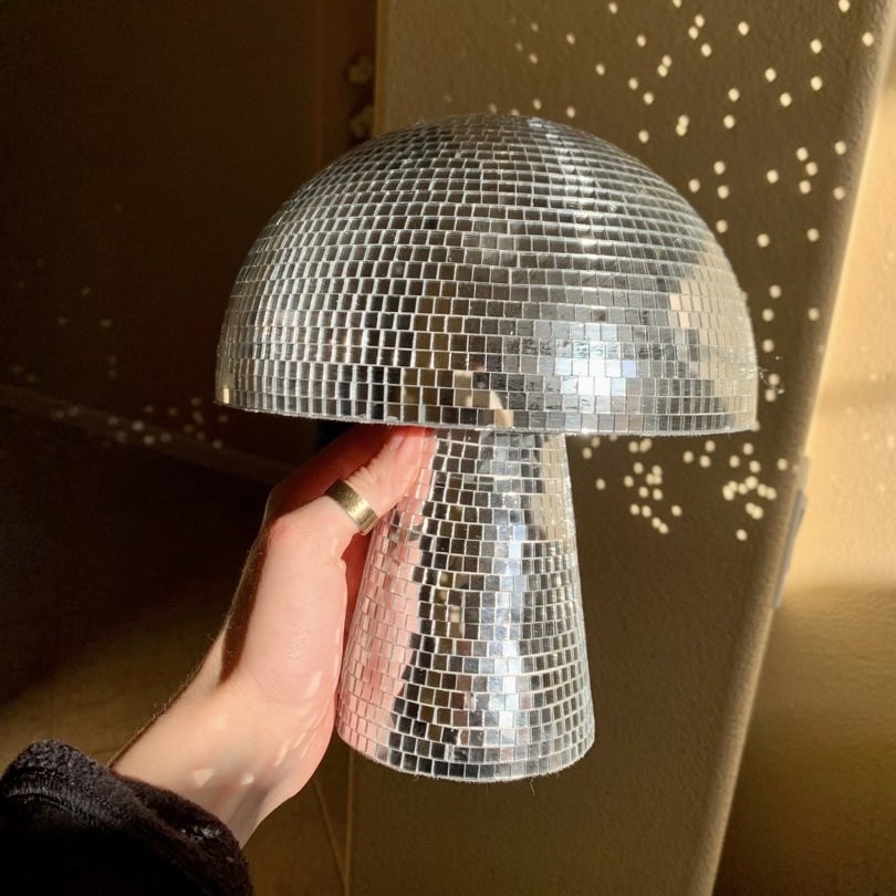 Disco Mushrooms